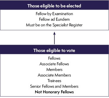 Eligibility for consultant members of Council