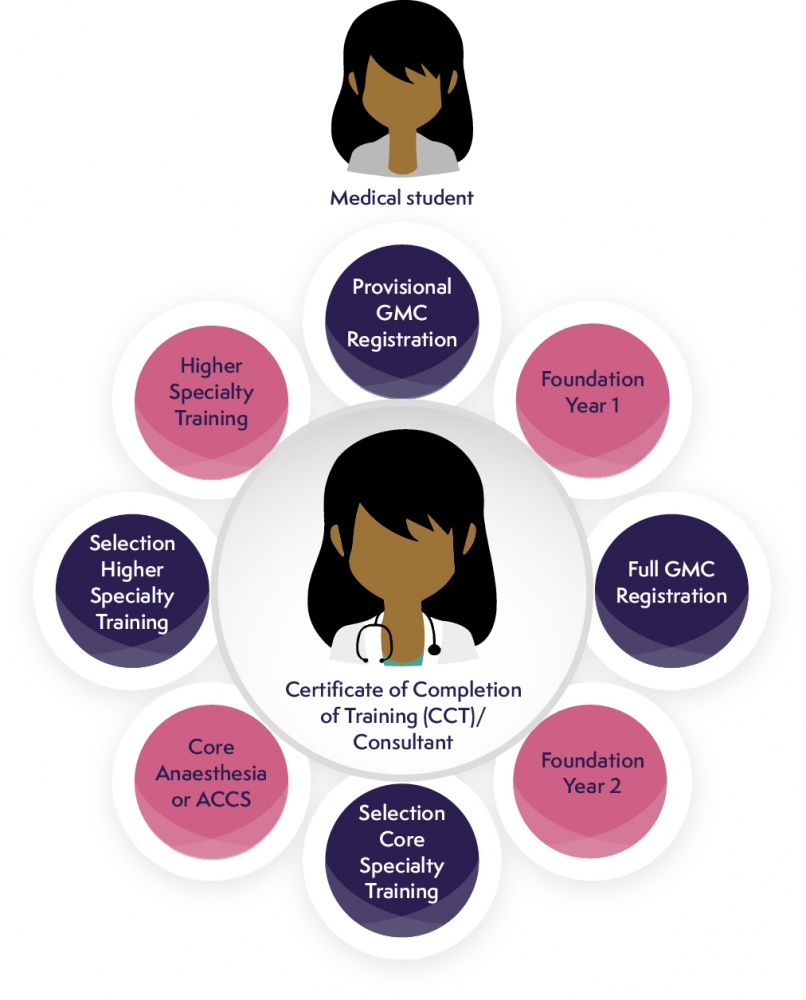 The stages of training