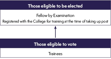 Trainee voting flow chart