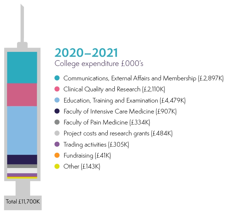 Annual Review 2021 College Expenditure