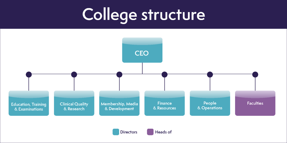 College Structure