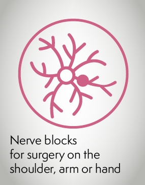 Nerve blocks translations icon