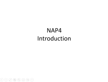 NAP4 Report Intro