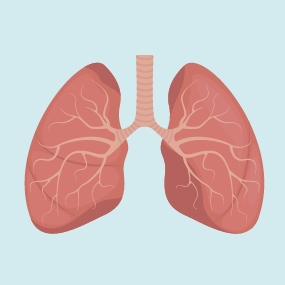Chest infection icon