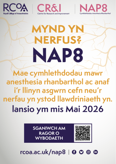 NAP8 Welsh Generic Poster