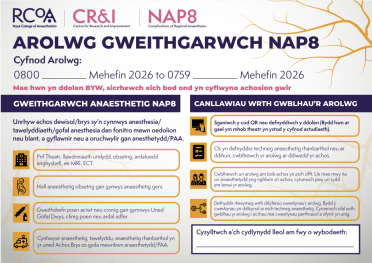 Welsh Activity Survey Poster